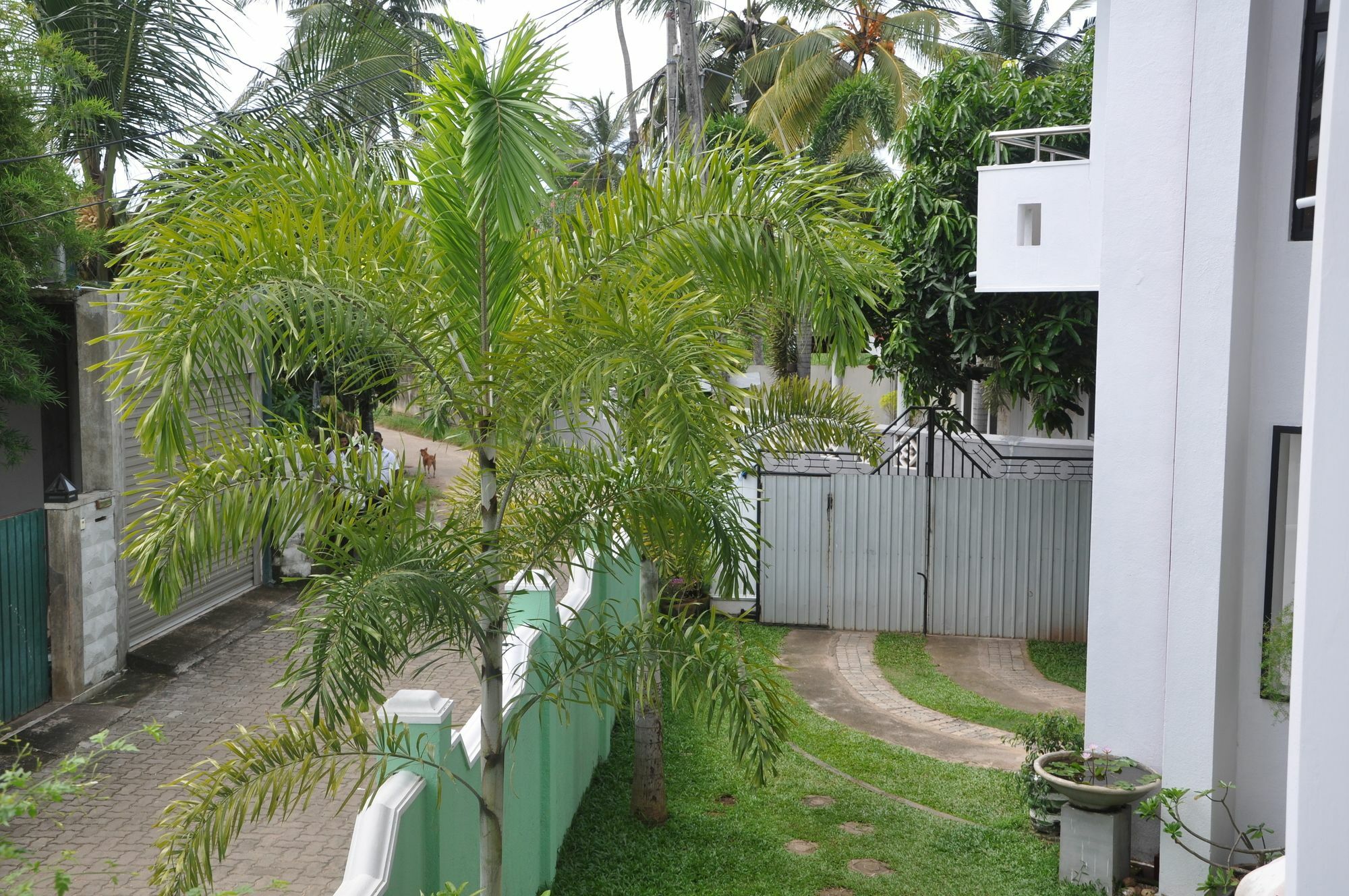 Shakuna Villa Hikkaduwa Exteriör bild
